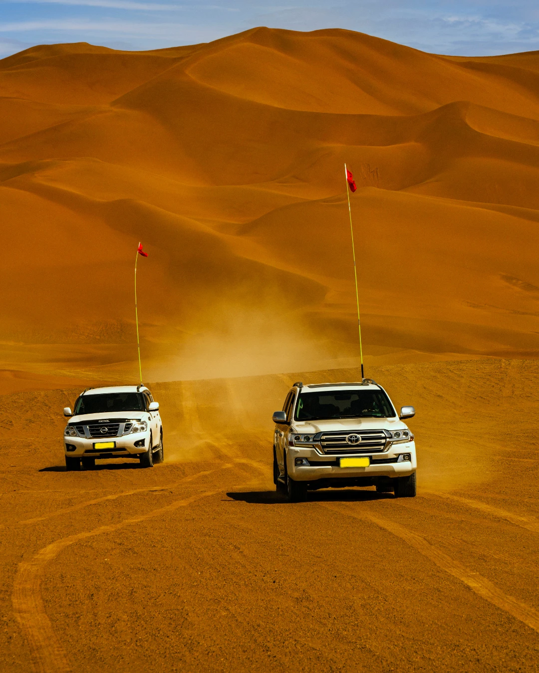 Desert Safari
