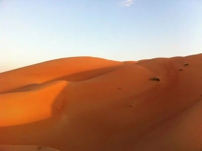 Morning Desert Safari 4 Hours