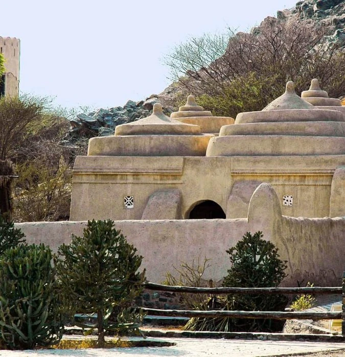Fujairah East Coast Tour 8 Hours