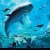 The fascinating Dubai Aquarium From USA