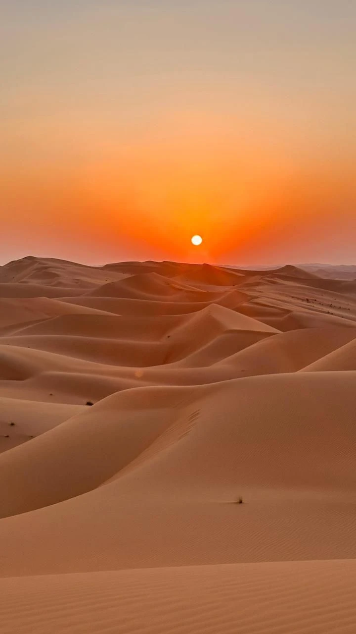 Morning Desert Safari 4 Hours