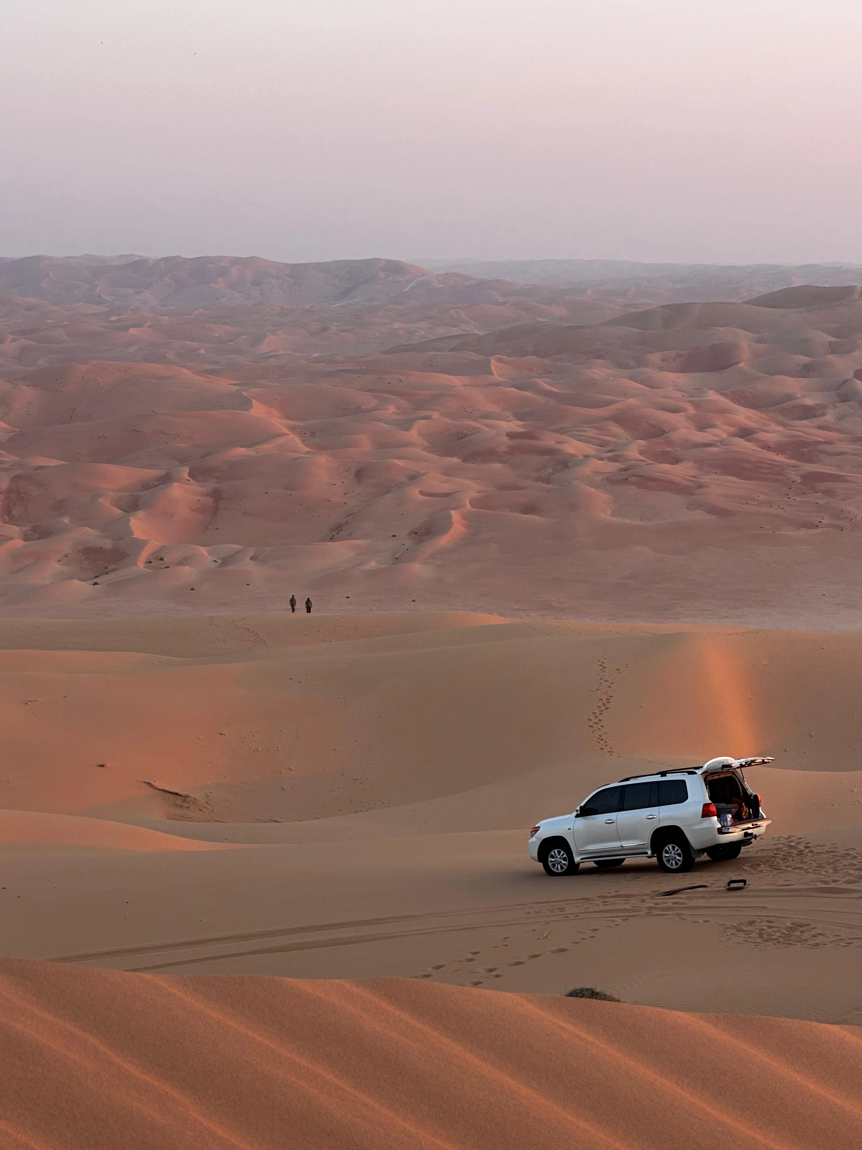 Morning Desert Safari 4 Hours