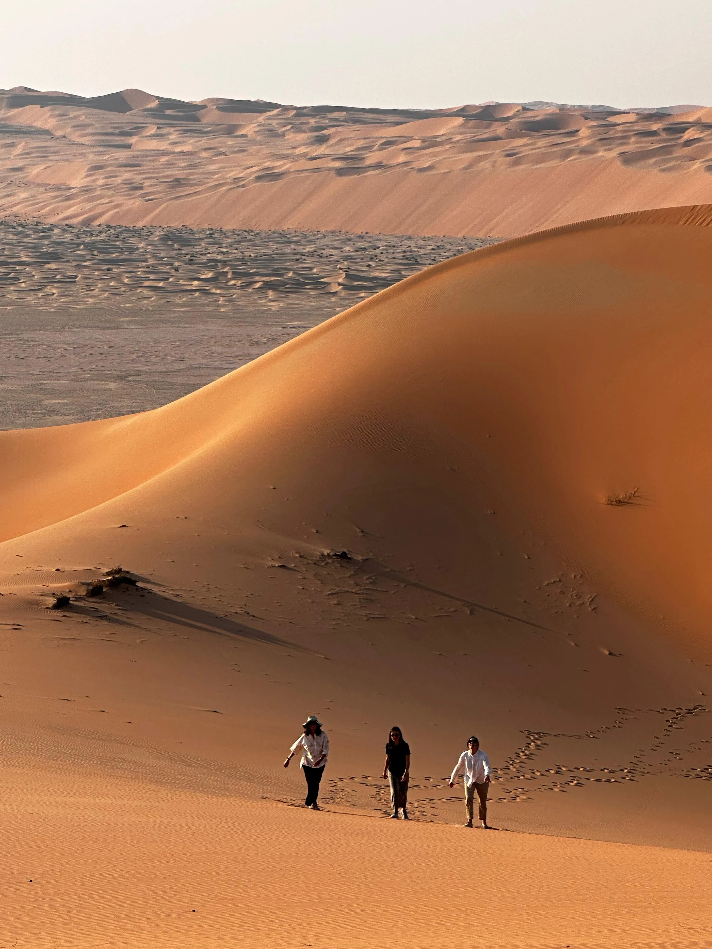 Morning Desert Safari 4 Hours From China