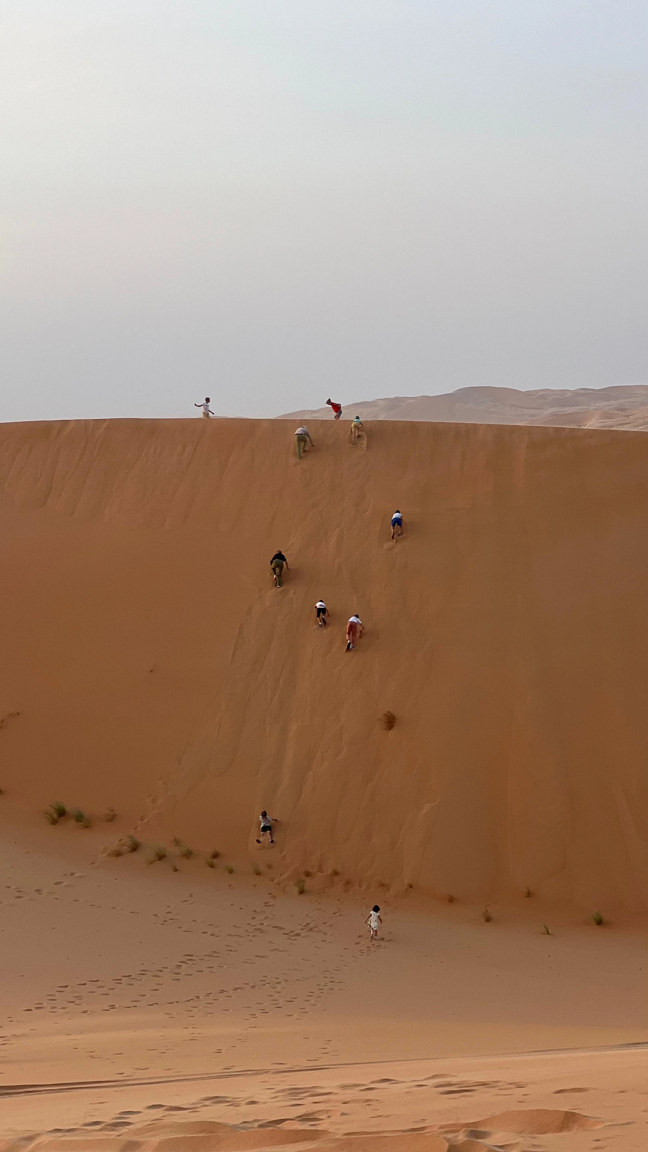 Hummer Desert Safari With Dinner 6 Hours From United Kingdom