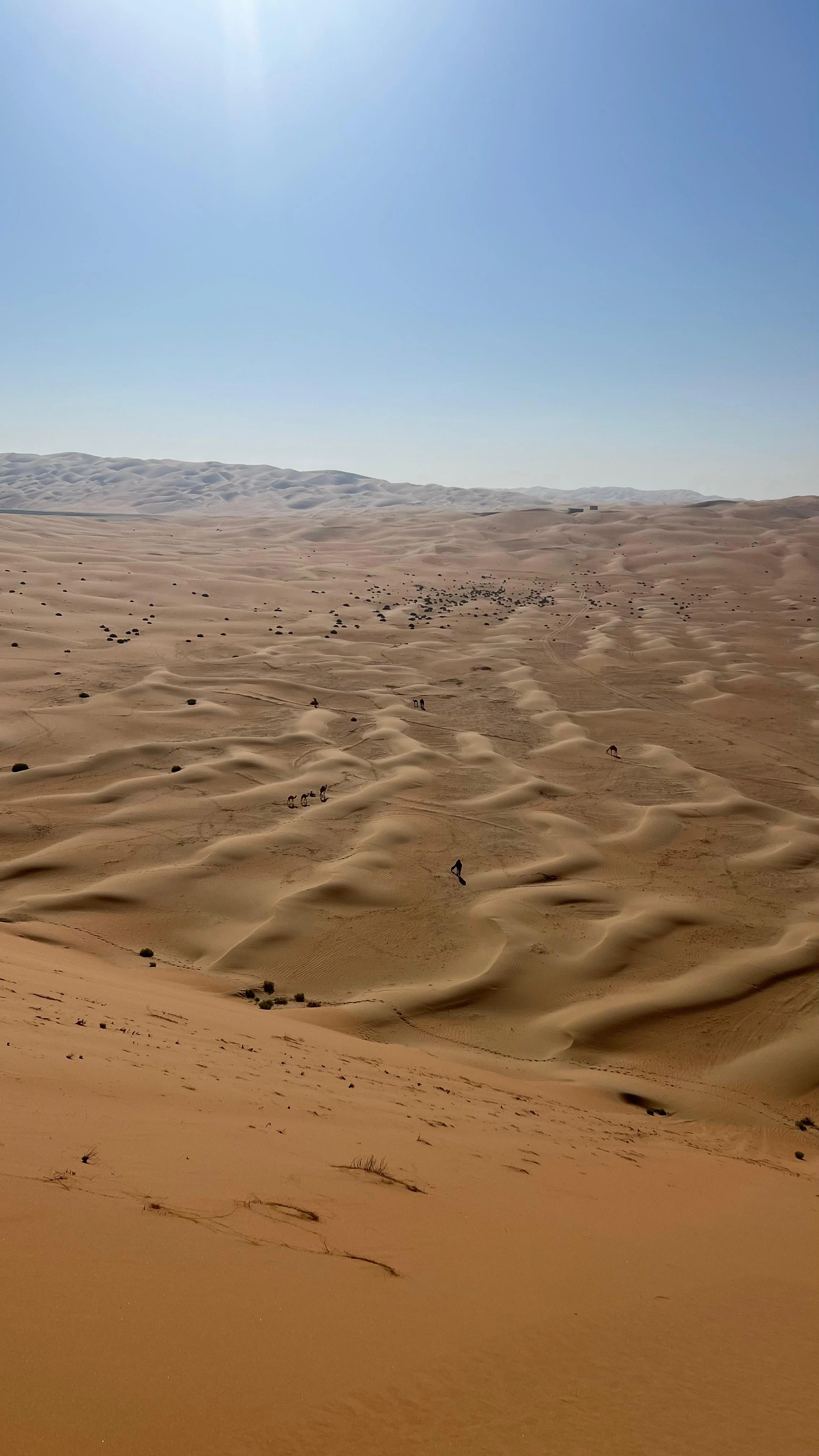 Hummer Desert Safari With Dinner 6 Hours From China