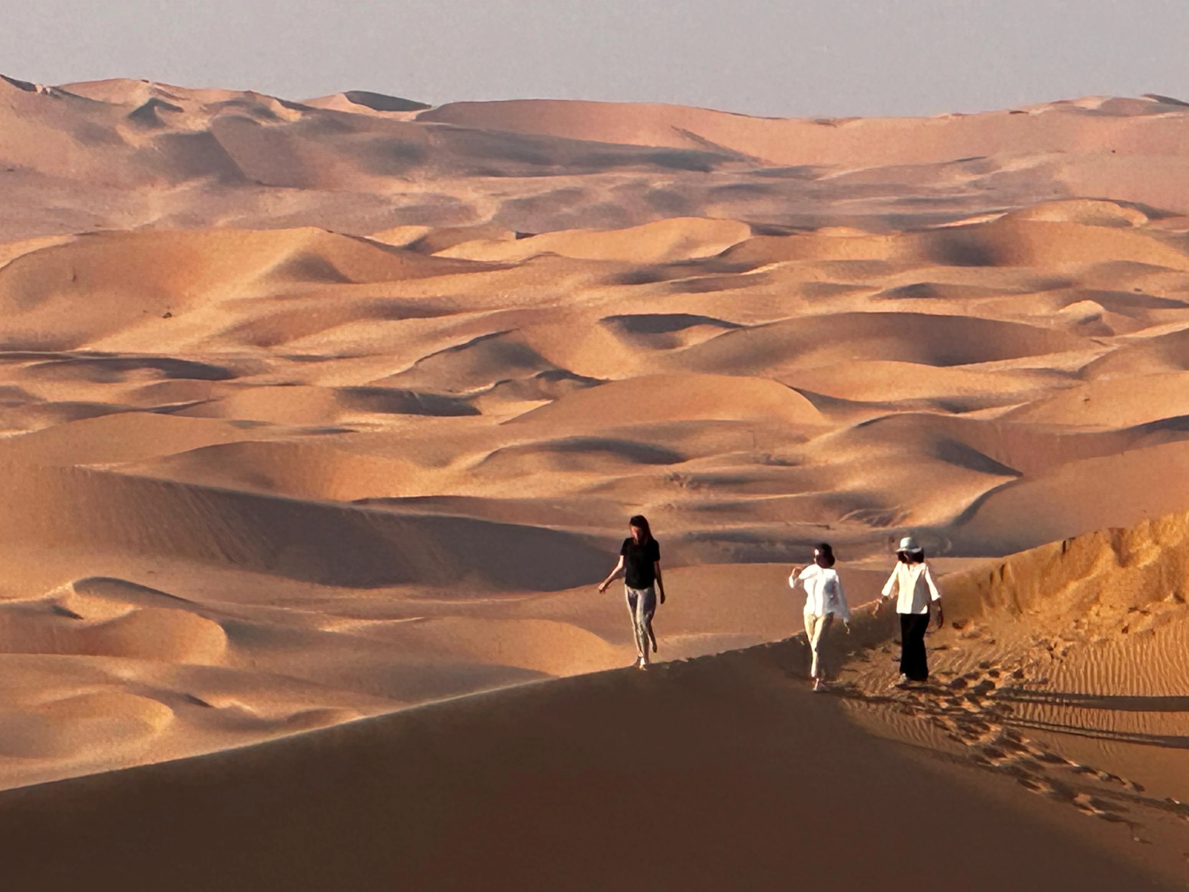 Desert Safari Private With Dinner From Germany