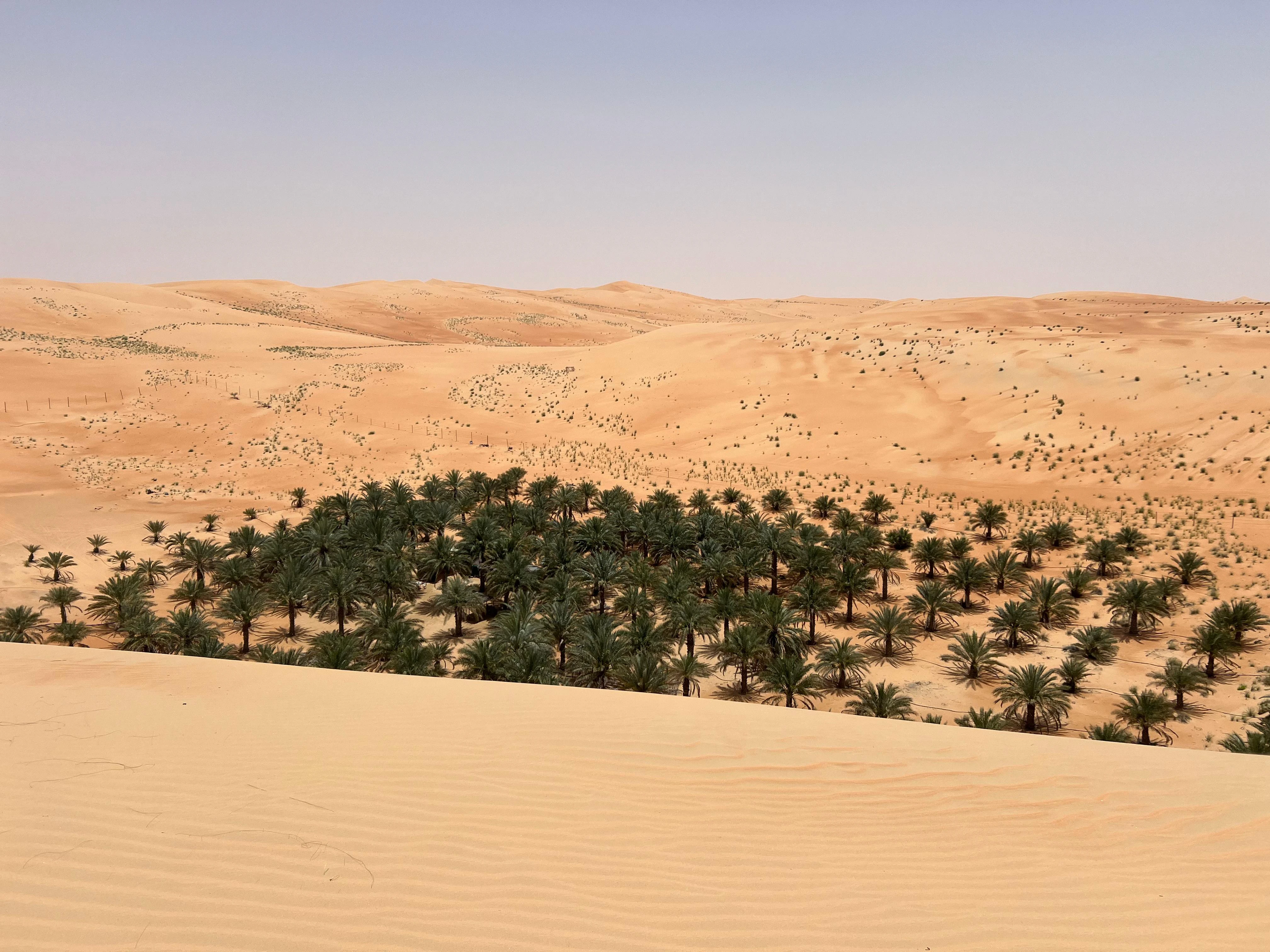 Liwa Overnight Camping Empty Quarter Experience From USA