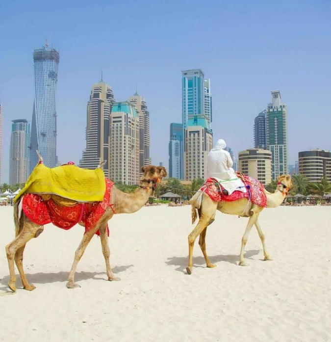 Private Desert Safari Dubai (Without Dinner or Camp) From Germany