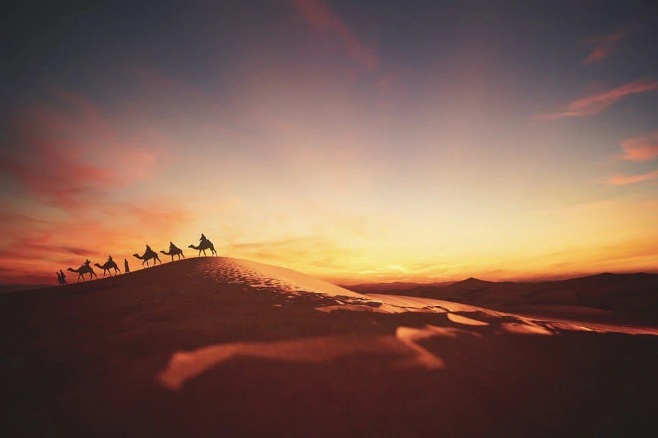 Desert Safari Dubai Tours And Tickets