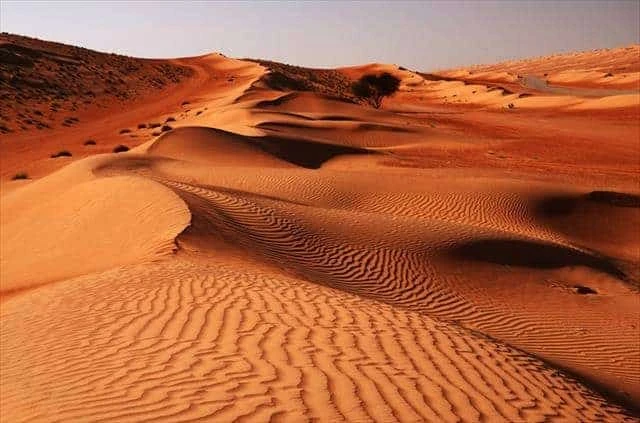 The Beauty of Liwa Oasis of Abu Dhabi