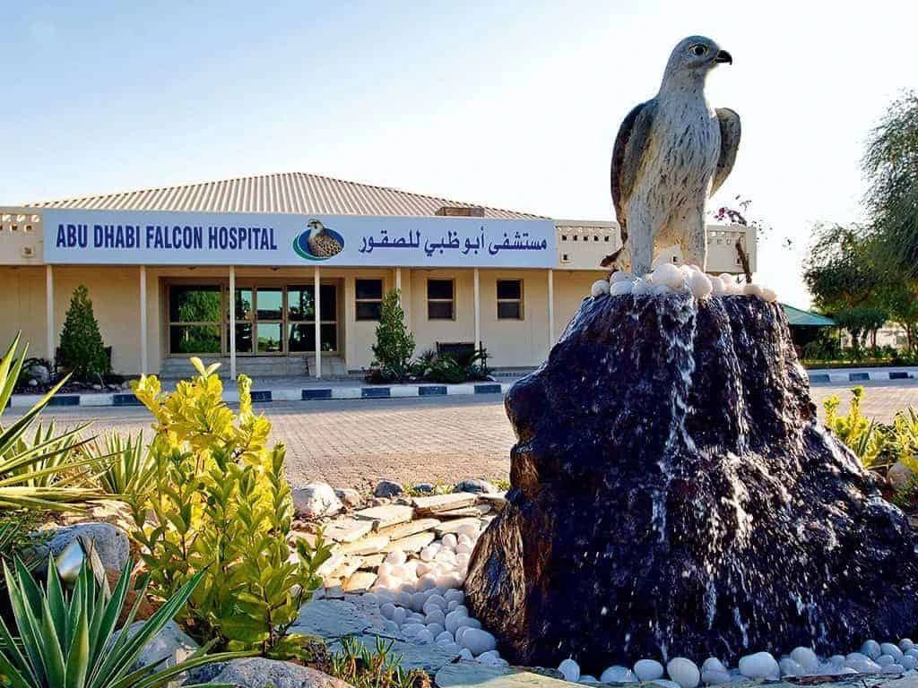 The Famous Falcon Hospital of Abu Dhabi