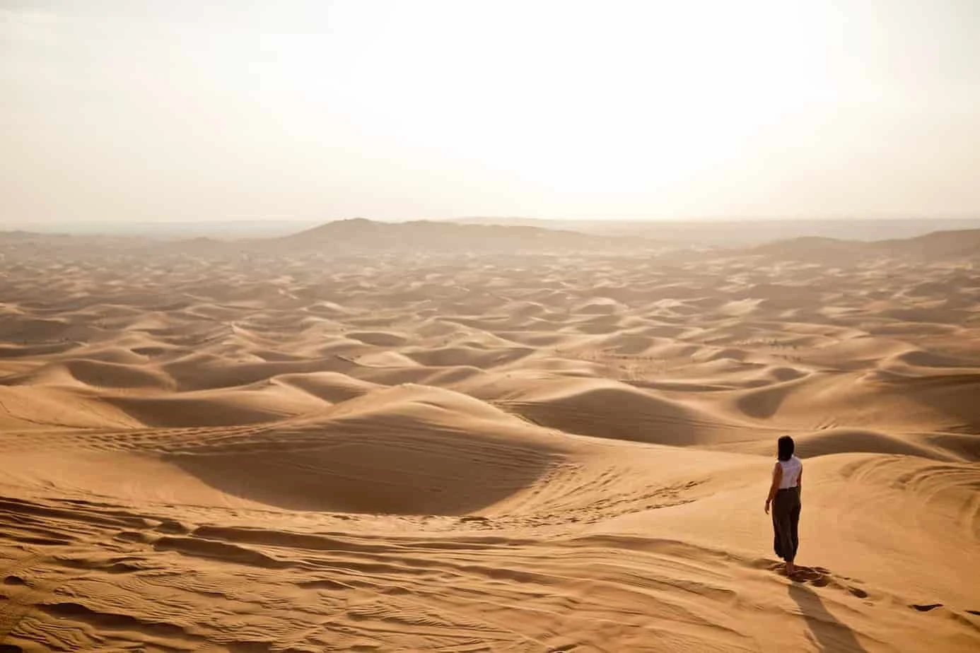 The Mighty Dubai Desert