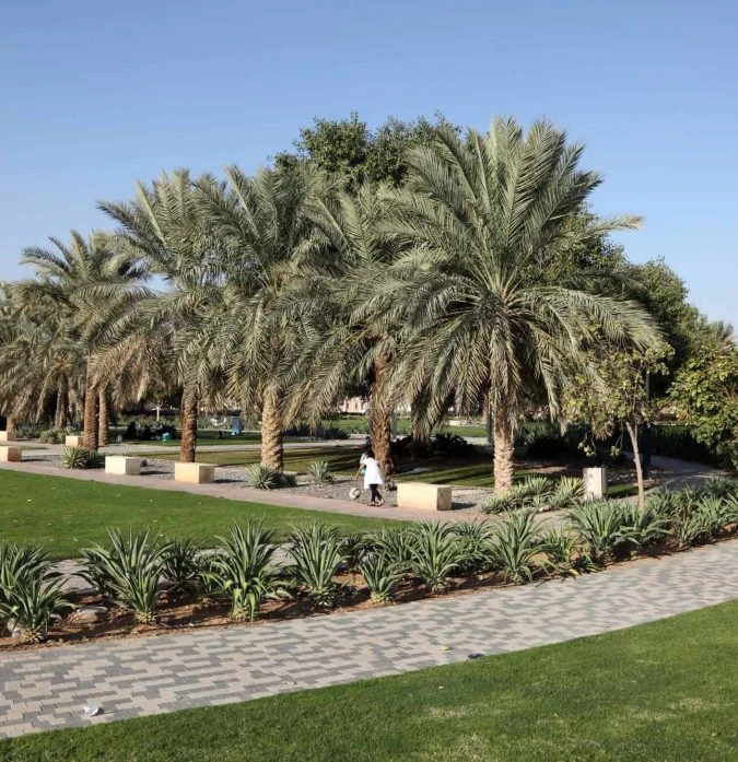 Al-Ain City Tour From Germany