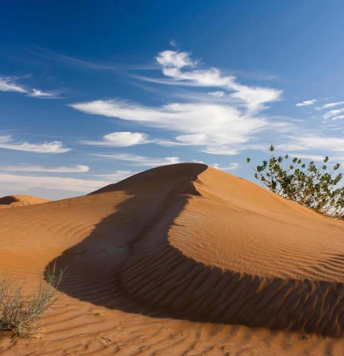 Desert Safari Private With Dinner From Germany