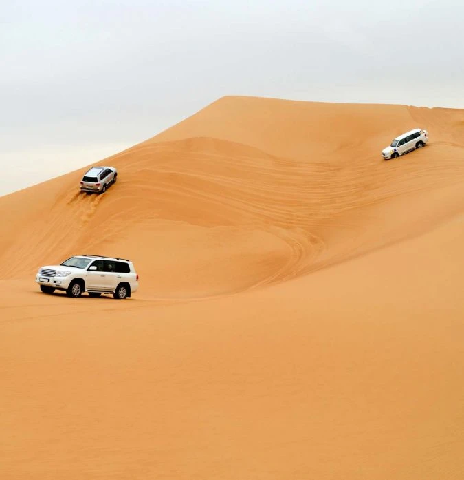 Desert Safari Private With Dinner