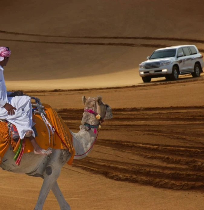 Desert Safari Private With Dinner