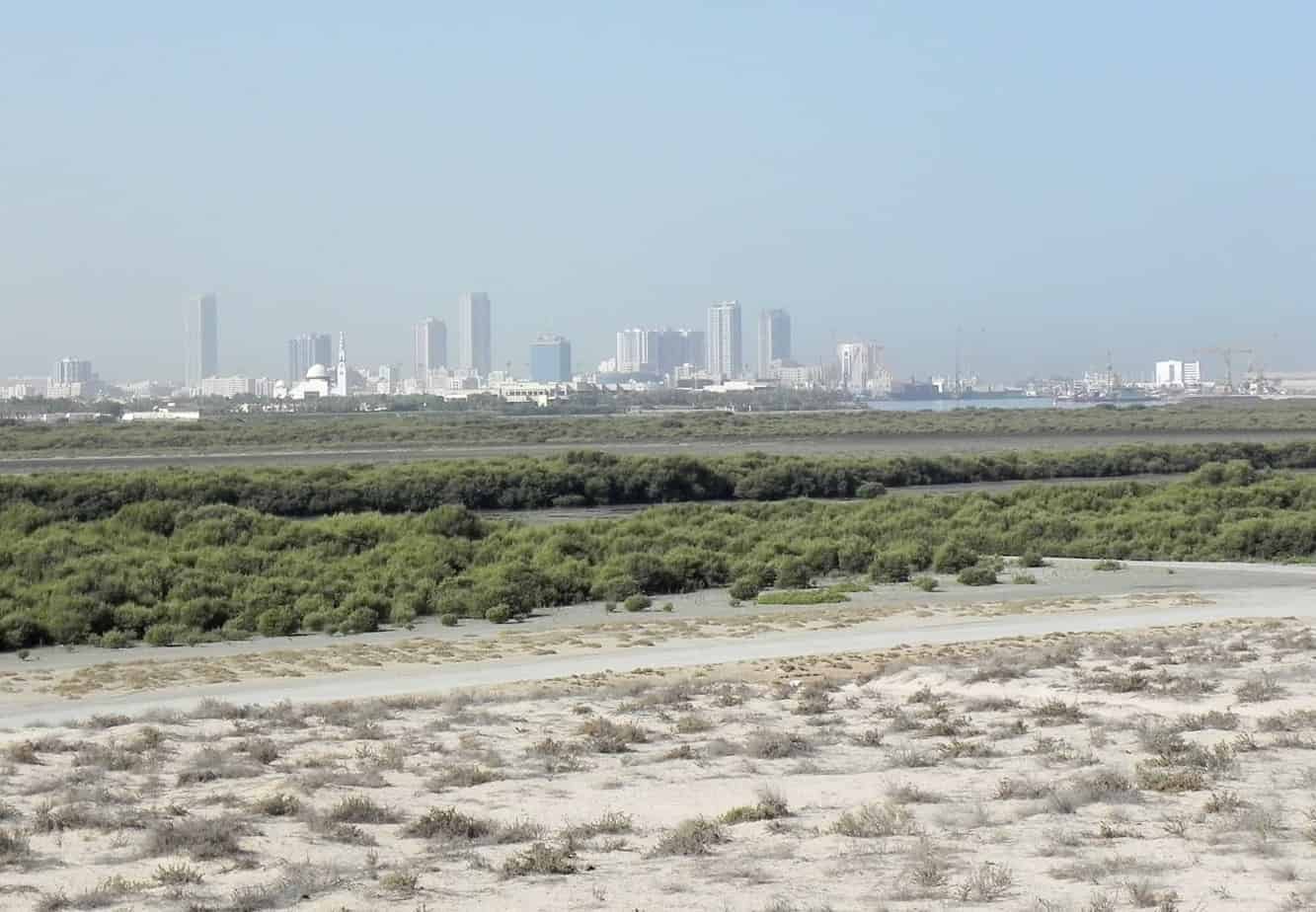 United Arab Emirates (U.A.E) 24