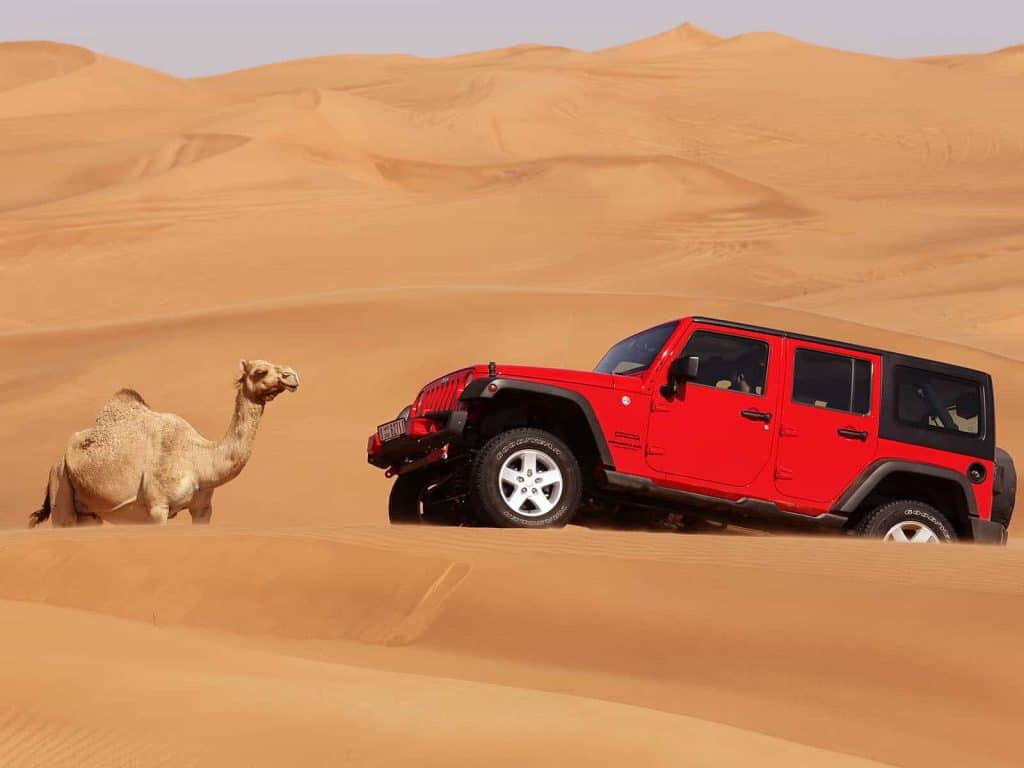 The Most Memorable Desert Safari in Dubai 3