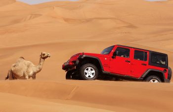 The Most Memorable Desert Safari in Dubai 26