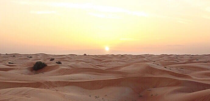 The Most Memorable Desert Safari in Dubai 5