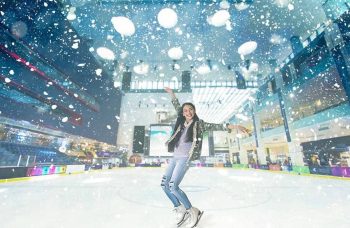 The Olympic-Sized Ice Rink at Dubai Mall 9
