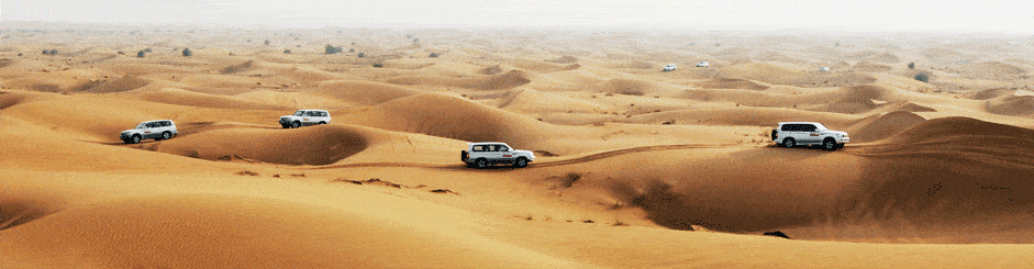 The Most Memorable Desert Safari in Dubai 1