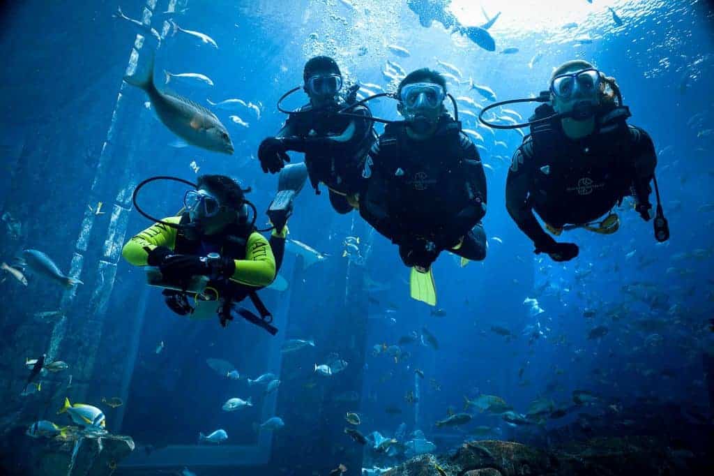 The fascinating Dubai Aquarium 13 Scuba Dive at the Dubai Aquarium