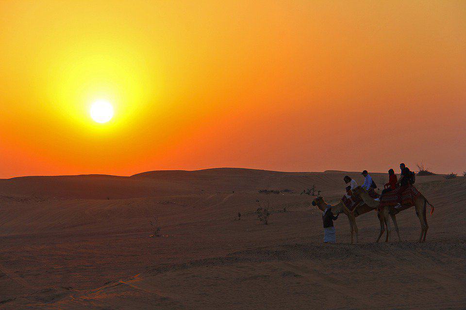 camel ride evening