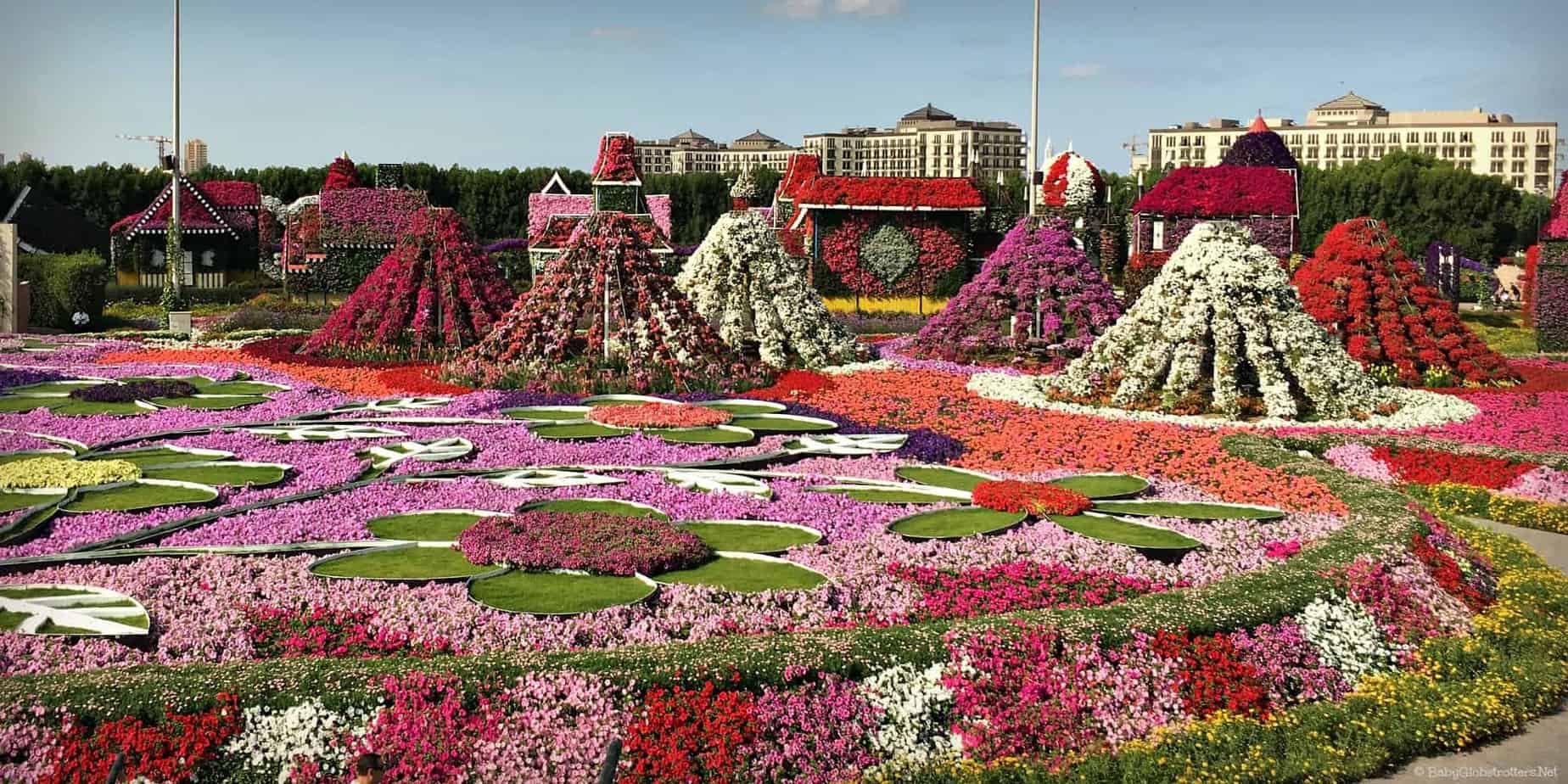 Miracle Garden Million Blooms