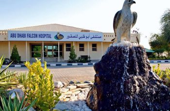 The Famous Falcon Hospital of Abu Dhabi