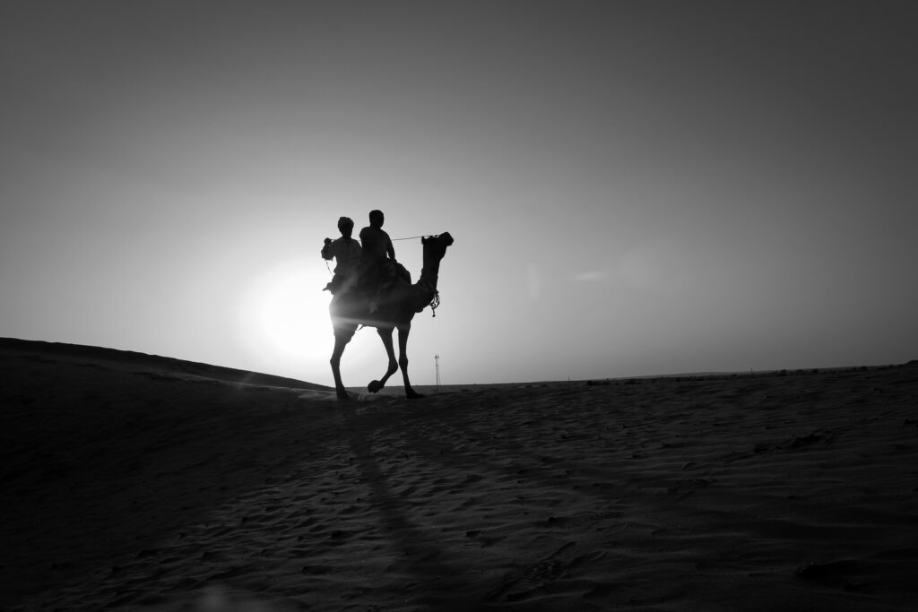 What can you do at Dubai Desert Safari? 2