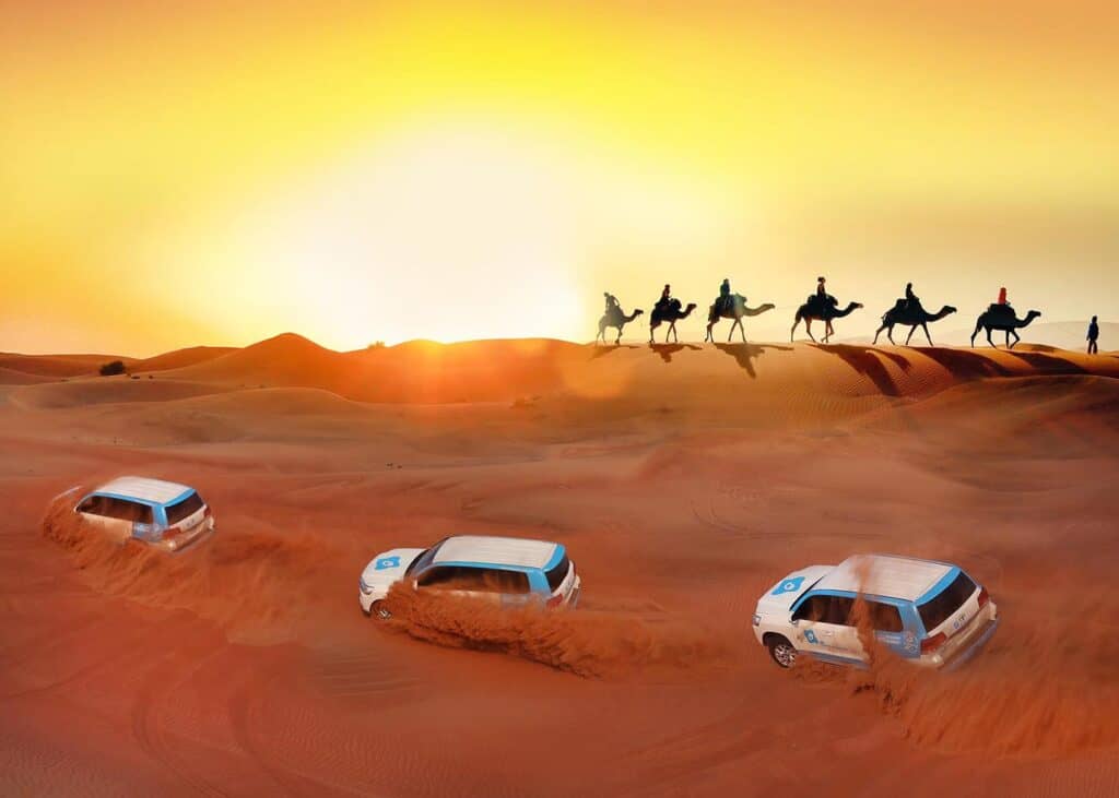 desert safari rides